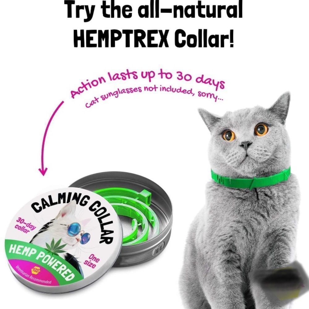 Calming Collar - Picture 6 of 8